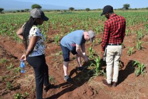 Nice Place Foundation Farm