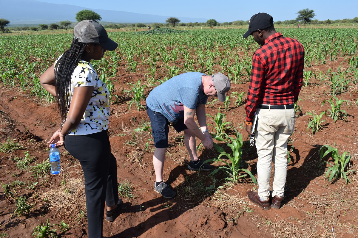 Nice Place Foundation Farm